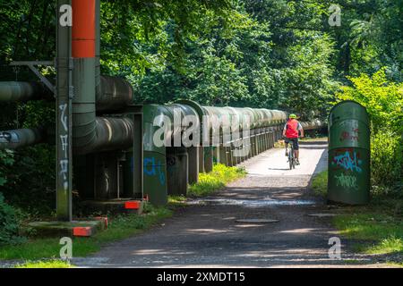 Cycling in the Ruhr area, Lothringentrasse, in the north of Bochum, Bochum-Grumme, former railway line, largely along district heating pipelines Stock Photo