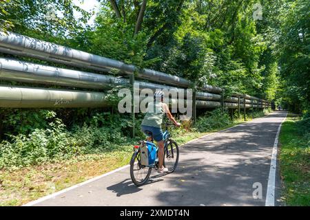 Cycling in the Ruhr area, Lothringentrasse, in the north of Bochum, Bochum-Grumme, former railway line, largely along district heating pipelines Stock Photo