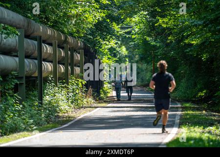 Cycling in the Ruhr area, Lothringentrasse, in the north of Bochum, Bochum-Grumme, former railway line, connects the southern cycle paths with the Stock Photo