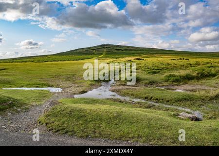 Cox Tor Dartmoor Devon with a touch of evening light Stock Photo