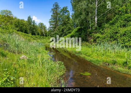 The Boye, stream, runs for 13.8 km through the cities of Gladbeck, Bottrop (photo) and Essen, a former sewer, wastewater river, since 2017 the Stock Photo