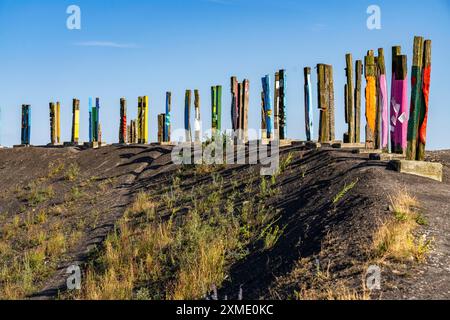 The Haniel spoil tip, 185 metre high spoil tip at the Prosper Haniel mine, which was closed in 2019, artwork Totems by the sculptor Augustin Stock Photo