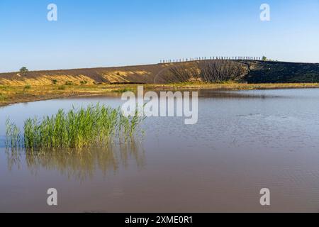 The Haniel spoil tip, 185 metre high spoil tip at the Prosper Haniel mine, which was closed in 2019, artwork Totems by the sculptor Augustin Stock Photo