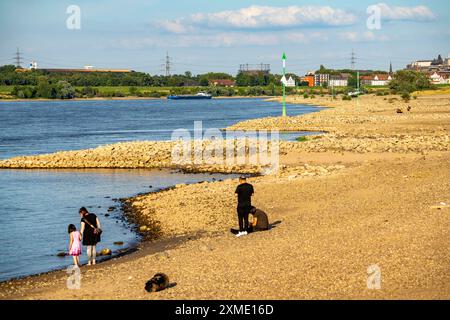 Cargo ship at low water on the Rhine near Duisburg-Homberg, view of Duisburg-Laar, houses on Deichstrasse, gasometer of ArcelorMittal Hochfeld GmbH Stock Photo