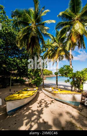 Petit Police Bay Beach, Mahe, Republic of Seychelles, Indian Ocean Stock Photo