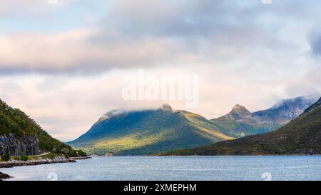 Sunset light over fjord and mountains growd with lush greenery under a dramatic cloudy sky. Suitable for website and app design, backgrounds, and visu Stock Photo