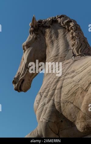 Detail of the horse of the marble statue of Castor and Pollux, Dioscuri, Piazza del Campidoglio in Rome, Italy Stock Photo