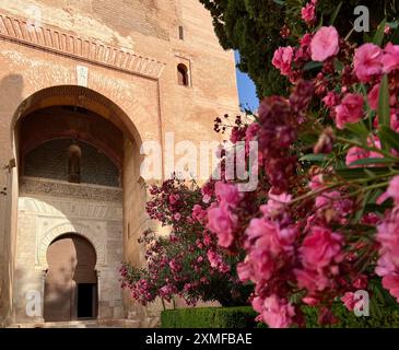 Flowers bloom outside the Gate of Justice at the Alhambra in Granada, Spain. Stock Photo