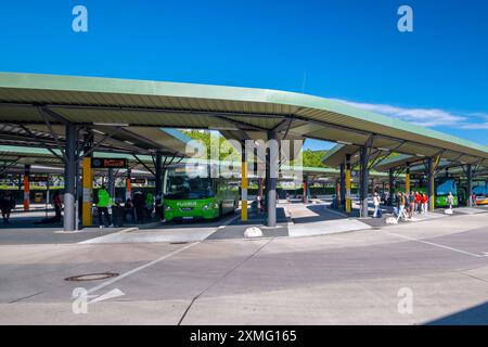 Zentraler Omnibusbahnhof ZOB, Flixbus, Messedamm, Westend, Charlottenburg, Berlin, Deutschland mcpins *** Central bus station ZOB, Flixbus, Messedamm, Stock Photo