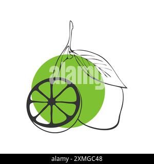 Lime fruit outline on green round background, contour whole fruit and cut in half. Vector illustration Stock Vector