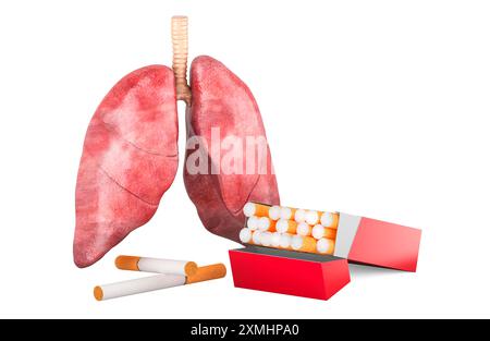 lungs after smoking cigarettes Pictures of Lungs After Quitting Smoking