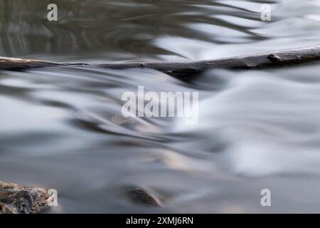 Wood log in creek, smooth water in long exposure Stock Photo