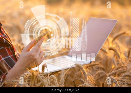 Woman farmer working with laptop on wheat field. Smart farming and digital agriculture.. Stock Photo