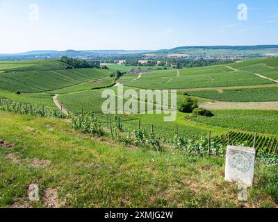 epernay, france, 19 july 2024: name stone near vineyards of moet et chandon near epernay in champagne-ardenne Stock Photo