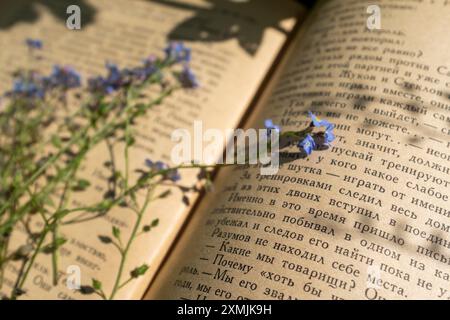 Forget-me-not flowers on the pages of an old book in Russian Stock Photo