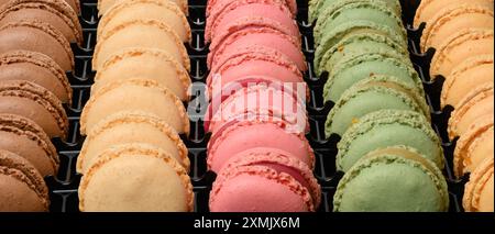 Multi-colored macarons in a plastic box, top view. Assortment Stock Photo