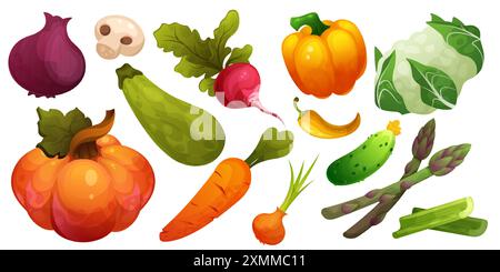 Vegetable icons. Cauliflower fruit celery and radish, carrot asparagus and green zucchini, pumpkin, pepper. Cabbage, mushroom and asparagus. Autumn ha Stock Vector