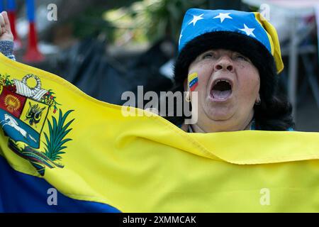 Santiago, Chile. 28th July, 2024. A woman harangues amid waiting for the results of the Venezuelan presidential election in Santiago, Chile, on July 28, 2024. Thousands of Venezuelans arrived at the Venezuelan embassy in Santiago, Chile to participate in the elections from abroad. (Photo by Jesus Martinez/Sipa USA) Credit: Sipa USA/Alamy Live News Stock Photo