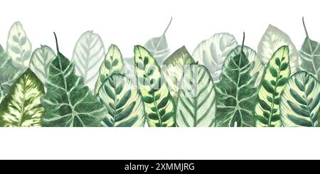 Tropical leaves watercolor seamless border. Jungle plants. Summer green realistic plant leaf, foliage. Hawaiian horizontal repeat flat pattern. Hand Stock Photo