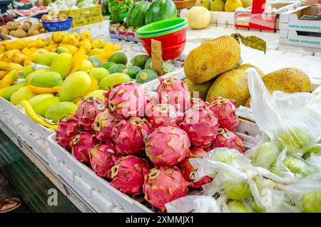 Dragon fruit on sale at a market stall in Tanjung Bungah Market in Penang, Malaysia Stock Photo