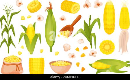 Corn plants. Spikelets corns cobs and grains. Farm market product, agriculture elements. Harvest seasonal raw, food neoteric vector cartoon clipart Stock Vector
