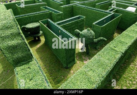 Picture by Roger Bamber : 13 May 2006 : A Topiary Teapot and Teacup wander around a topiary maze as part of a performance by 'dotMaze Get Lost', a street theatre company in the Brighton Festival.  The company combines elements of fairy tale, myth, comedy art, and landscape in their show. Stock Photo