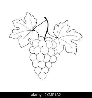 Contour drawing of bunch of grapes, wine label, icon, logo. Isolated on white background. Vector illustration Stock Vector