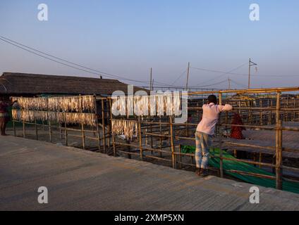 Workers laid out fish to dry in sun, Chittagong Division, Cox's Bazar Sadar, Bangladesh Stock Photo