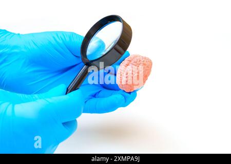 Anatomical model of a human brain using a miniature laptop replica ...