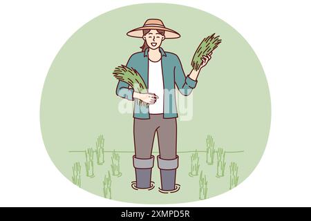 Farmer girl on rice plantation with rice sprouts during harvest season of organic wheat crop. Farmer woman in hat stands in water on plantation for growing organic products for sale at farmers fair Stock Vector