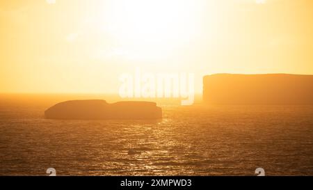 Antarctica Magic Hour Golden Sunset Power of God Over Icebergs Scenic View Stock Photo
