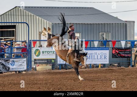 A professional rodeo cowboy on a bucking horse in the chute before riding in the bareback event in a rodeo in Utah. Stock Photo