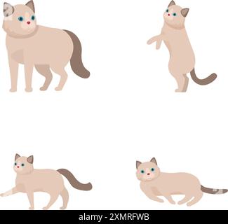 Collection of charming siamese cats illustrated in different playful and resting poses Stock Vector