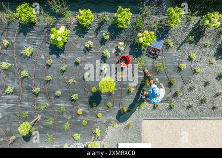 A dedicated gardener works on planting a variety of herbs and shrubs in an organized garden layout. The garden is laid out with stone pathways and pro Stock Photo