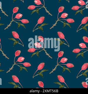 Rose-hip twigs seamless watercolor pattern isolated on dark blue. Hand drawn high quality art with wild edible forest plant in simple flat style for Stock Photo