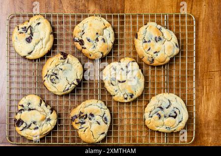 Fresh baked Chocolate Chip Cookies on cooling rack, flat lay, background. Stock Photo