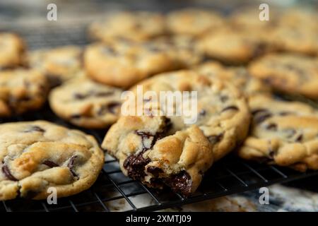 Close up of batch of warm chocolate chip cookies Stock Photo