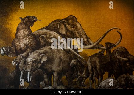 Caveman, Neanderthal, Primate, Homo Mammuthus, mammoth, Elephantidae ...