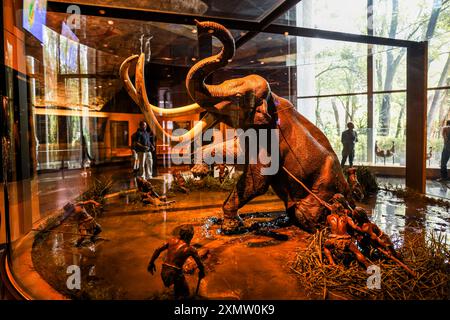 Caveman, Neanderthal, Primate, Homo Mammuthus, mammoth, Elephantidae ...