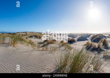 Farewell Spit : A majestic Coastal Landscape with Sand Dunes and Tasman Sea in the Golden Bay of South Island, New Zealand Stock Photo