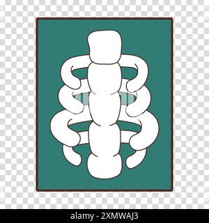 Cute Spine X-Ray Illustration Poster Stock Vector