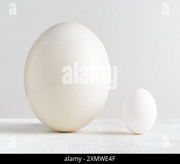 Ostrich egg and chicken egg on white table Stock Photo