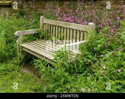 Wooden park bench surrounded by pretty Red Campion / Catchfly (Silene dioica) wildflowers, Somerby, Leicestershire, England, UK Stock Photo