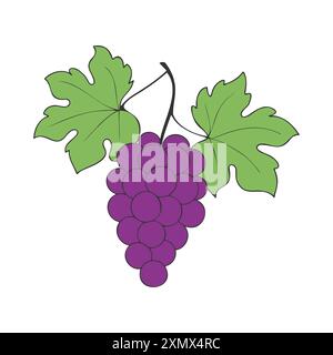 Grapes on branch with burgundy red berries and leaves on white background. Vector illustration Stock Vector
