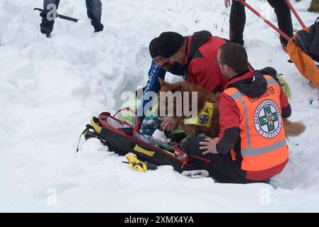 mountain rescue managing saving lifes in mountain areas mountain rescue saves lifes in mountain areas Stock Photo