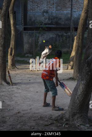 Bangladeshi boys playing cricket in the street, Rajshahi Division, Rajshahi, Bangladesh Stock Photo