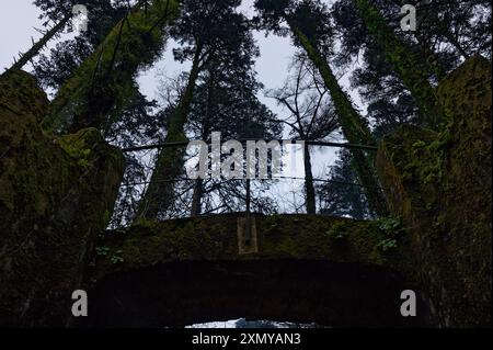 A moss-covered bridge blends seamlessly with the towering trees and misty forest surrounding Pena Palace Stock Photo