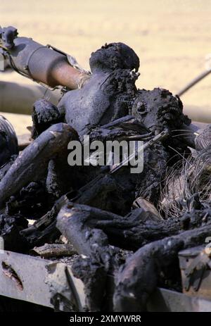 4th March 1991 Incinerated bodies of Iraqi soldiers lie sprawled on the back of a flat-bed truck in the desert. They were attacked by USAF fighter jets about a week before. They were possibly the crew of a towed Soviet 122 mm Howitzer 2A18 (D-30), partly seen in the background. Stock Photo