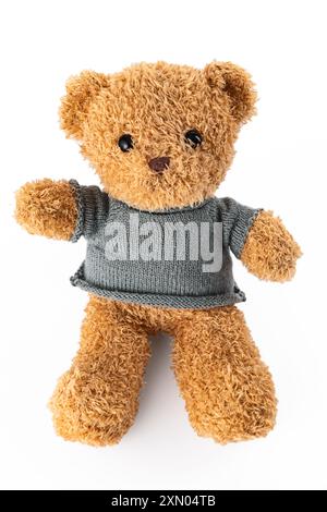 Teddy bear toy, isolated on white background Stock Photo
