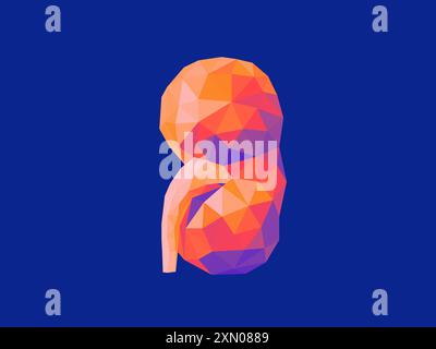 Abstract, low-poly kidney in warm hues against a cool background. Evokes themes of filtration, purification, and essential bodily functions. 3d render Stock Photo